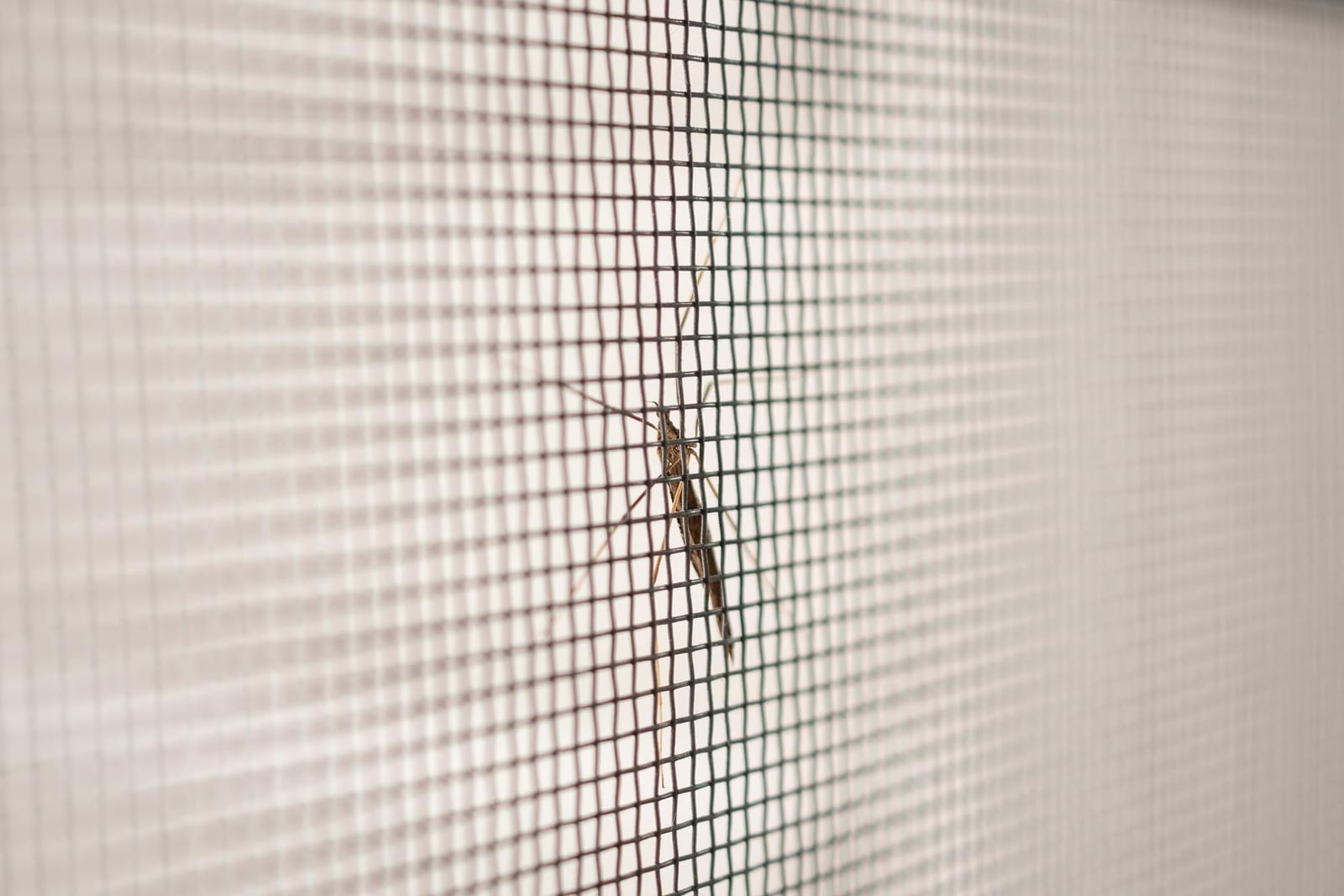 Tela Mosquiteira Fixa instalada em vão de janela no Rio de Janeiro