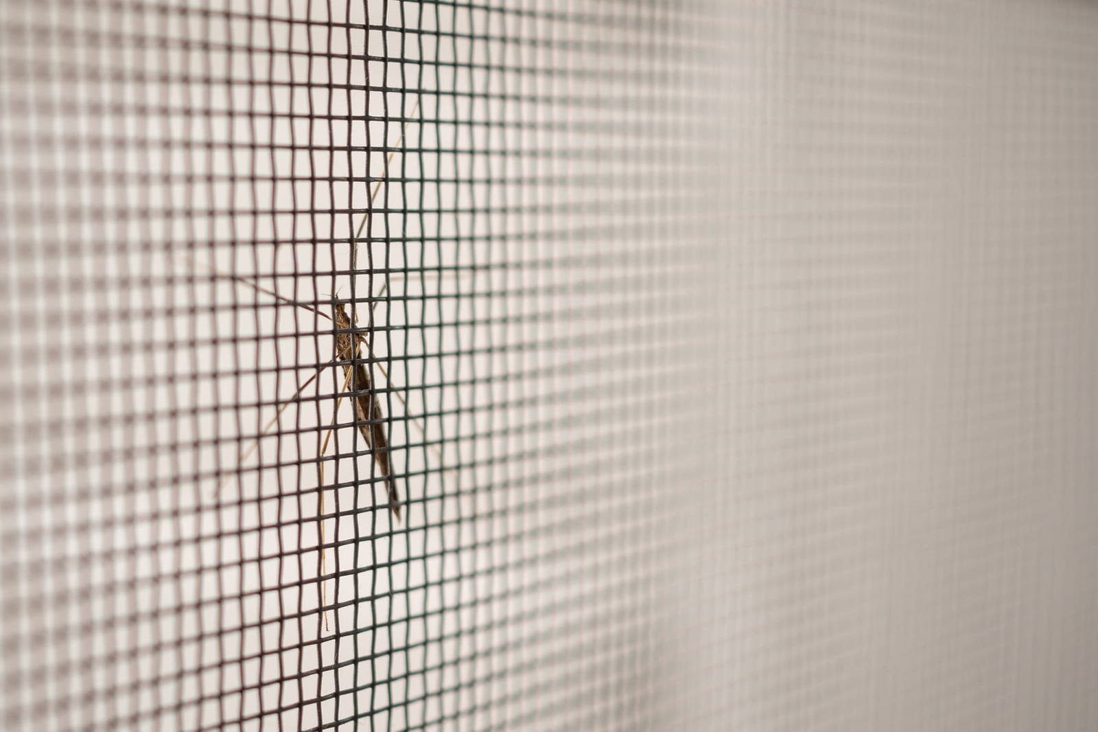 Tela Mosquiteira Recolhível em instalação
